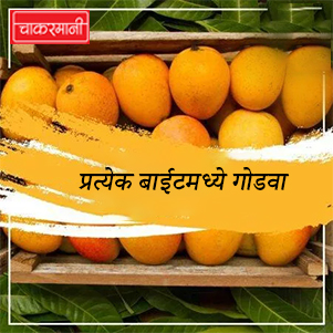 Devgad Ambe:Family Pack-3Dozen