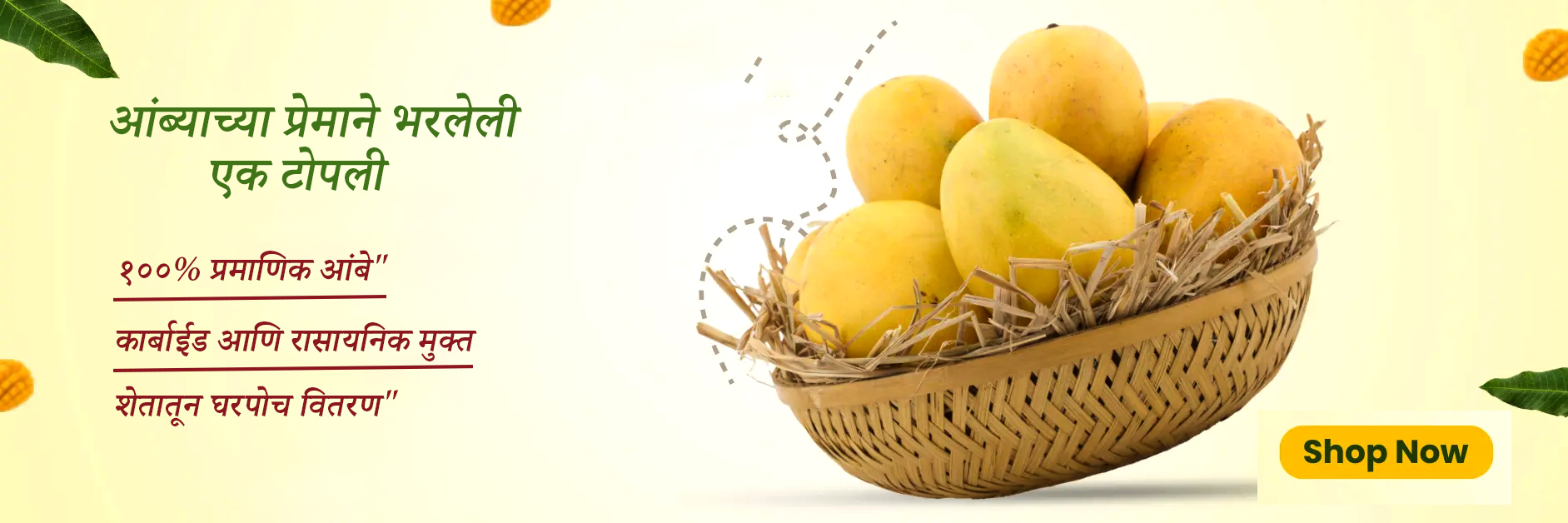 Website home banner - 3