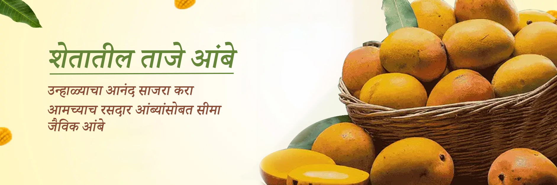 Website home banner - 3