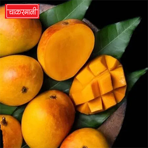 Devgad Queen Ambe : 1Dozen